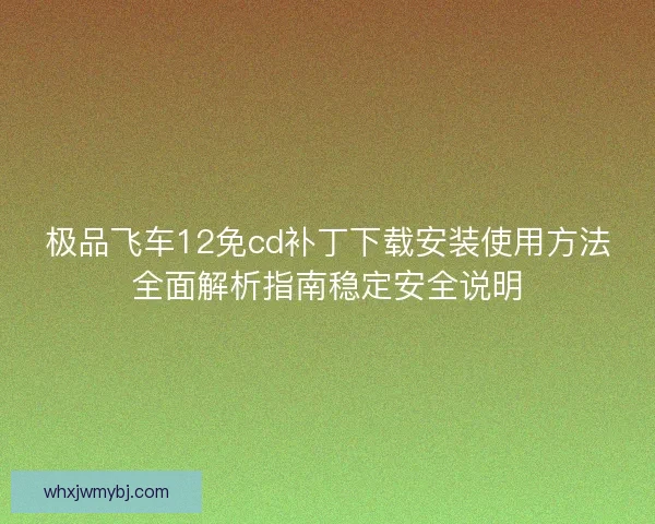 极品飞车12免cd补丁下载安装使用方法全面解析指南稳定安全说明