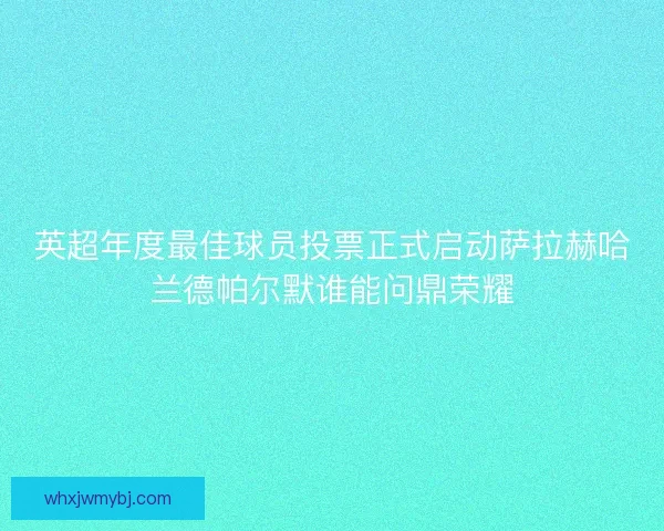 英超年度最佳球员投票正式启动萨拉赫哈兰德帕尔默谁能问鼎荣耀